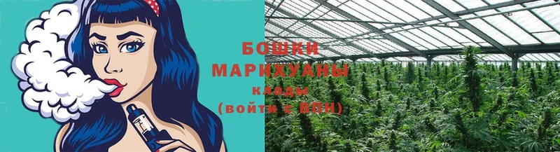 Шишки марихуана LSD WEED  Алушта 